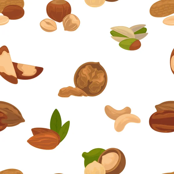 Вкусные Питательные Орехи Полные Витаминов Минералов Изолированные Карикатурные Плоские Векторные — стоковый вектор