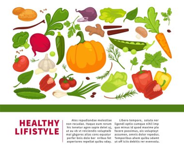 Organik sebze gıda afiş arka plan şablonu diyet vejetaryen yemek veya vegan diyet. Vektör sebze ve çiftlik sebzeler turp, domates ve biber veya marul salatası ve karnabahar lahana
