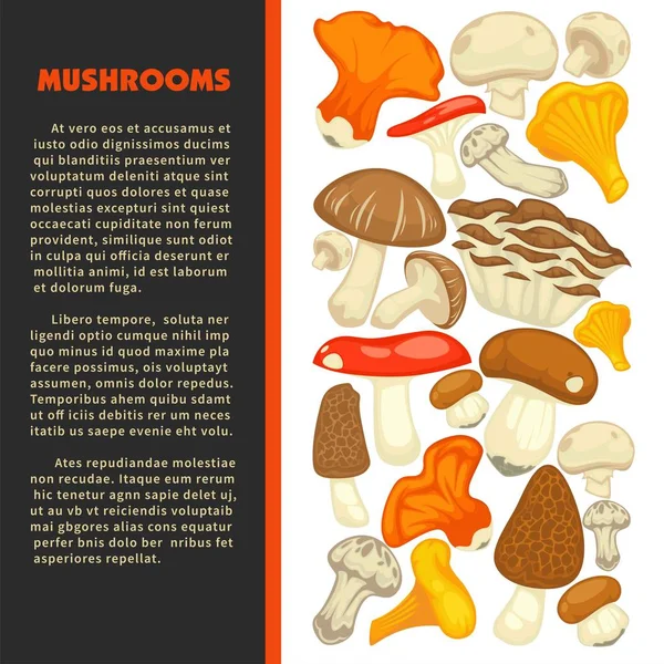 Cogumelos Maduros Todas Espécies Comestíveis Cartaz Promocional Com Texto Amostra —  Vetores de Stock