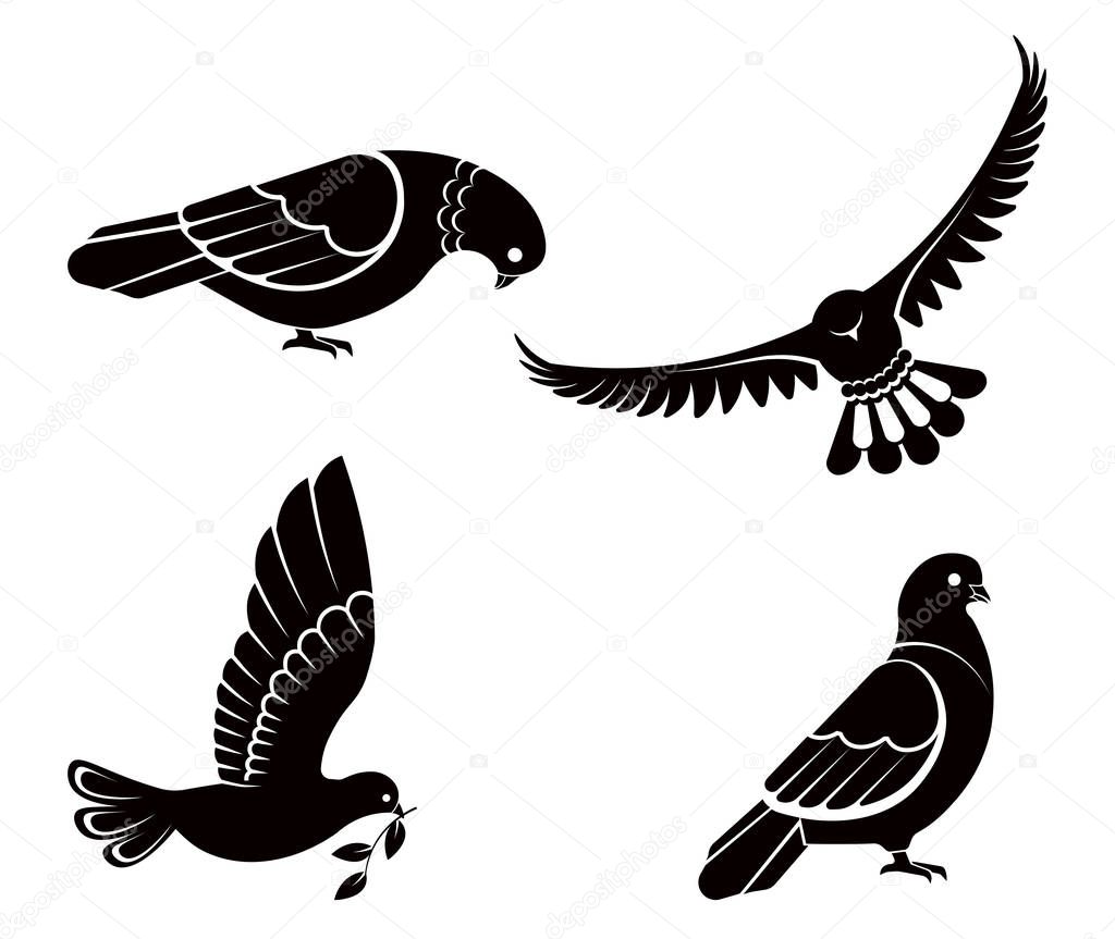 Vettoriale stockPiccione Colomba Uccello Bianco Che Vola Con Ali Spiegate  Nel di ©Sonulkaster #223039574, image size:1024x863