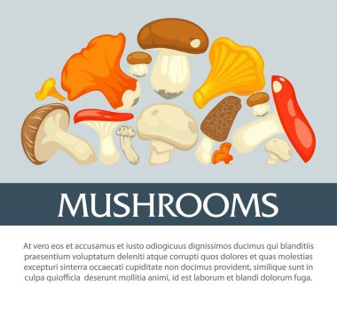 Olgun orman mantar posteri örnek metin çizgi film düz vektör çizim ile tüm yenilebilir türlerinin