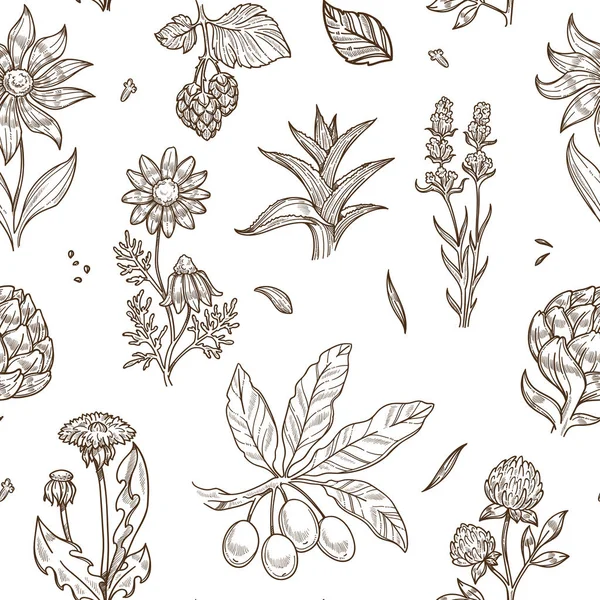 Медичні Трави Рослини Рослинної Медицини Ескіз Ікон Безшовний Візерунок — стоковий вектор