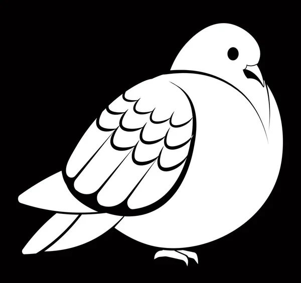 Taube Oder Taube Weißer Vogel Auf Schwarzem Hintergrund — Stockvektor