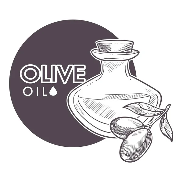 Olivový Olej Extra Panenský Černobílý Nákres Obrysu Plakát — Stockový vektor