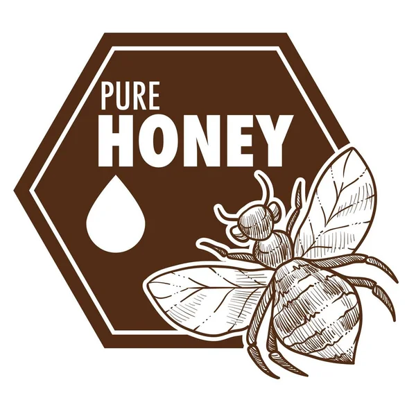 Pure Honing Poster Met Bee Monochroom Sketch Overzicht Vector Logo — Stockvector