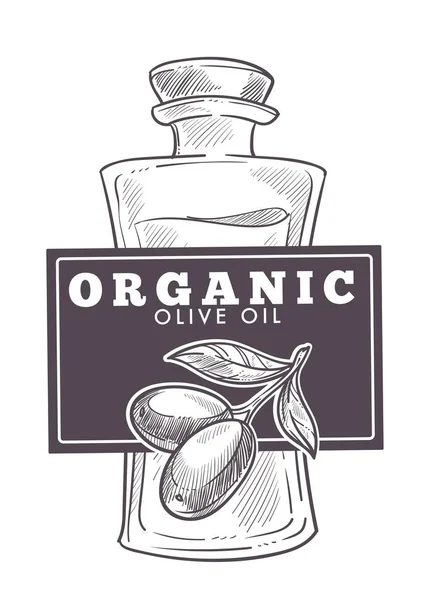 Aceite Oliva Virgen Extra Boceto Monocromo Contorno Póster Icono Del — Vector de stock