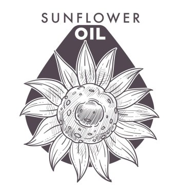 Ayçiçeği yağı, bitki ve metin tek renkli kroki Anahat vektör simgesi