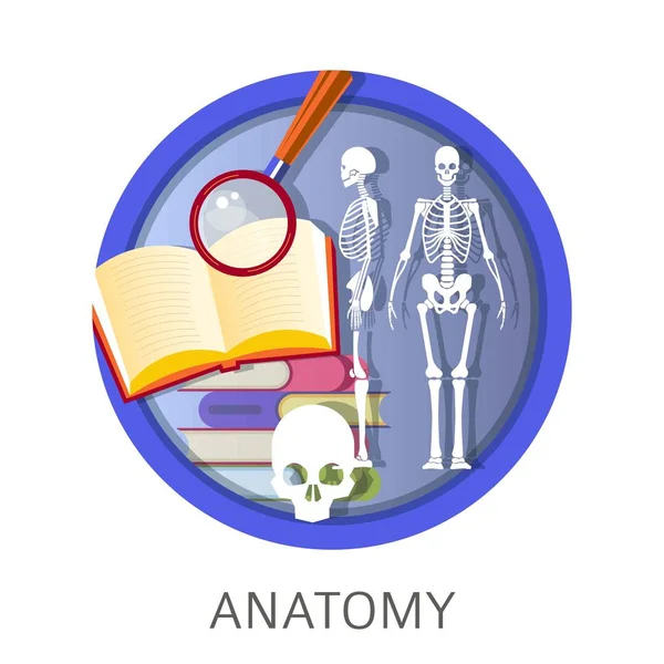 学校のクラスの解剖学は 大学の規律研究ベクトル アイコン — ストックベクタ