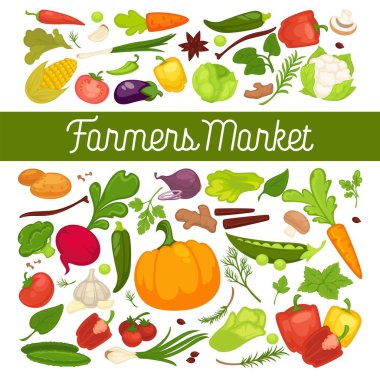 Taze sebze reklam düz vektör çizimler 
