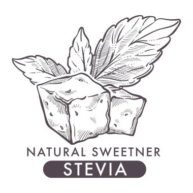 Şeker tatlı yerine ile Stevia doğal tatlandırıcı kroki