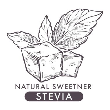 Stevia natural sweetener sketch with sweet substitute of sugar clipart