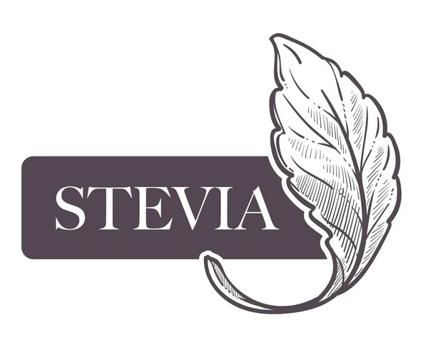 Naturalny Słodzik Stevia Białym Tle — Wektor stockowy