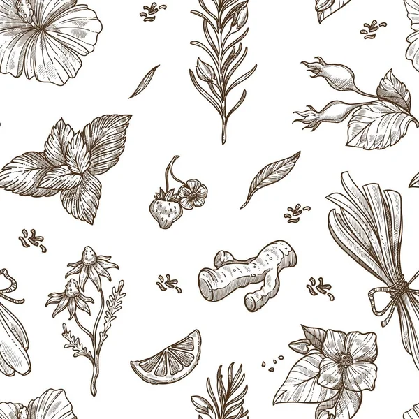 Травы Бесшовный Дизайн Травяной Чай Ароматом Приправы Вектор — стоковый вектор