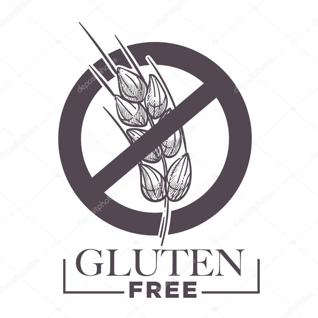 Gluten free products, vector poster with wheat 