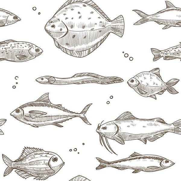 Modèle Croquis Poisson Sur Fond Blanc — Image vectorielle