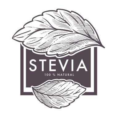 Stevia natural sweetener, vector sketch  clipart
