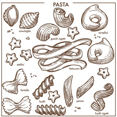 Deniz kabuğu, tortellini, tek renkli vektör çizimler şeklinde Conchiglie