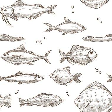 Balık beyaz zemin üzerine desen kroki