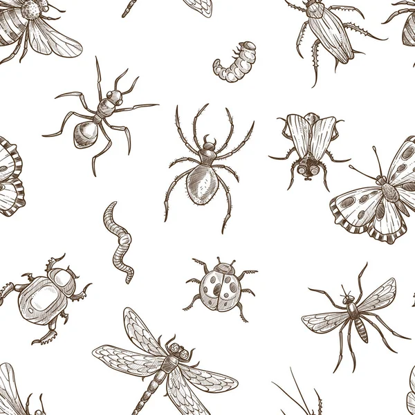 Insekten Die Fliegen Und Kriechen Monochrom Sepia Skizzen Nahtlose Muster — Stockvektor
