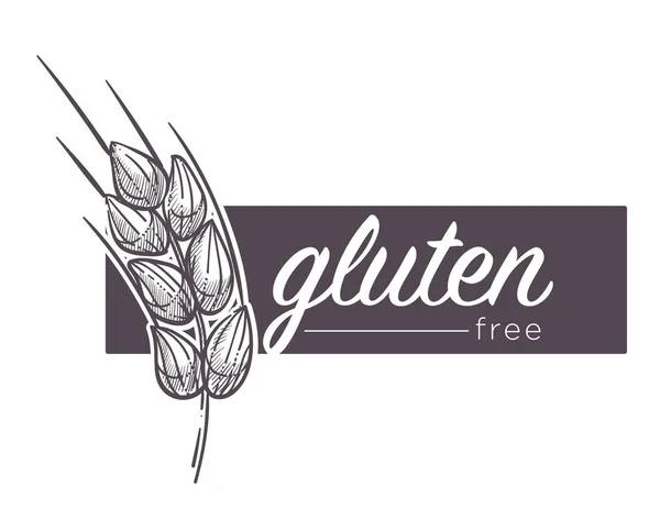 Glutenfreie Produkte Poster Mit Weizenvektor — Stockvektor