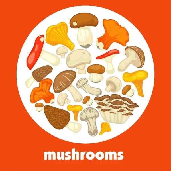 Mushrooms Edible Mushrooming Poster Vector — Stock Vector