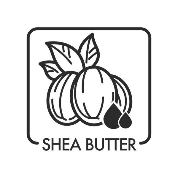 Shea Butter Organic Product Vector Monochrome Sketch — Stock Vector