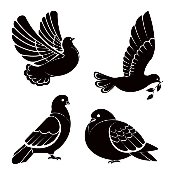 Pigeon Dove Bird Flying Sky Sitting Set — Stock Vector