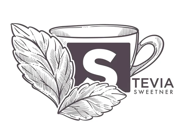 Naturliga Sötningsmedel Som Stevia Leaf Sätta Kopp Vektor — Stock vektor