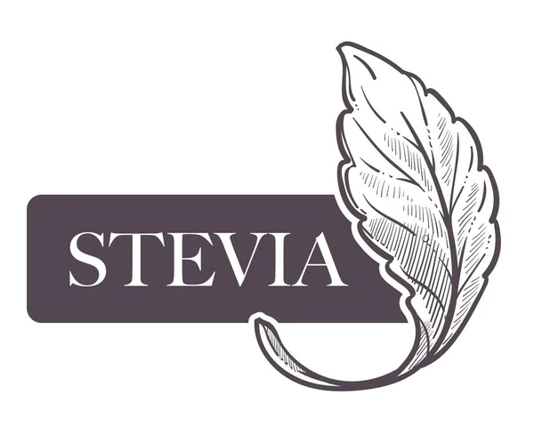 Naturliga Sötningsmedel Som Stevia Vektor Skiss — Stock vektor