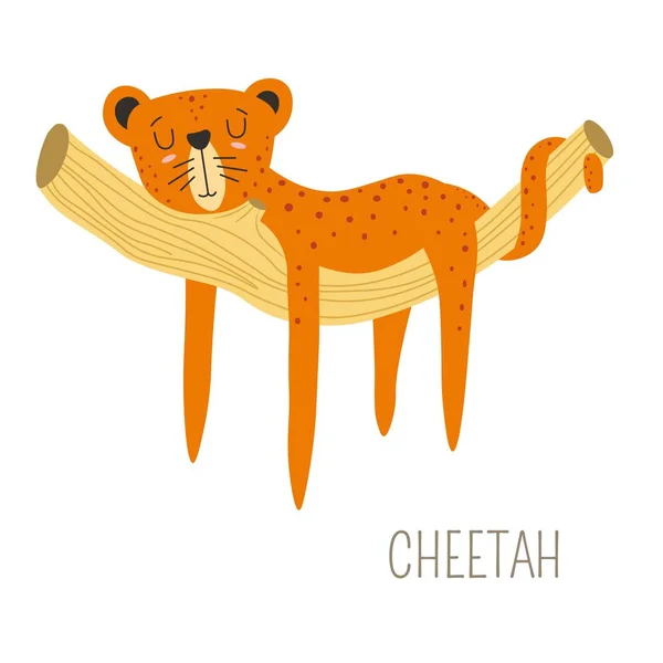Cheetah Originário Animal Dormindo Árvore Ramo Vetor —  Vetores de Stock