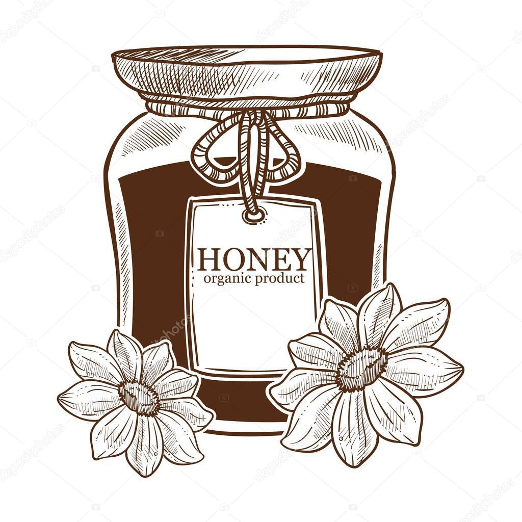 Pure honey organic product, monochrome sketch vector