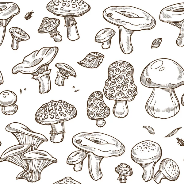 Cogumelos Esboço Sem Costura Padrão Vector —  Vetores de Stock