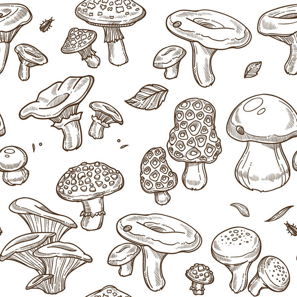 Mushrooms sketch seamless pattern, Vector