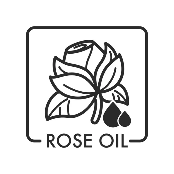 Rosenölblume Mit Flüssigkeitstropfen Vektorisoliertes Symbol — Stockvektor