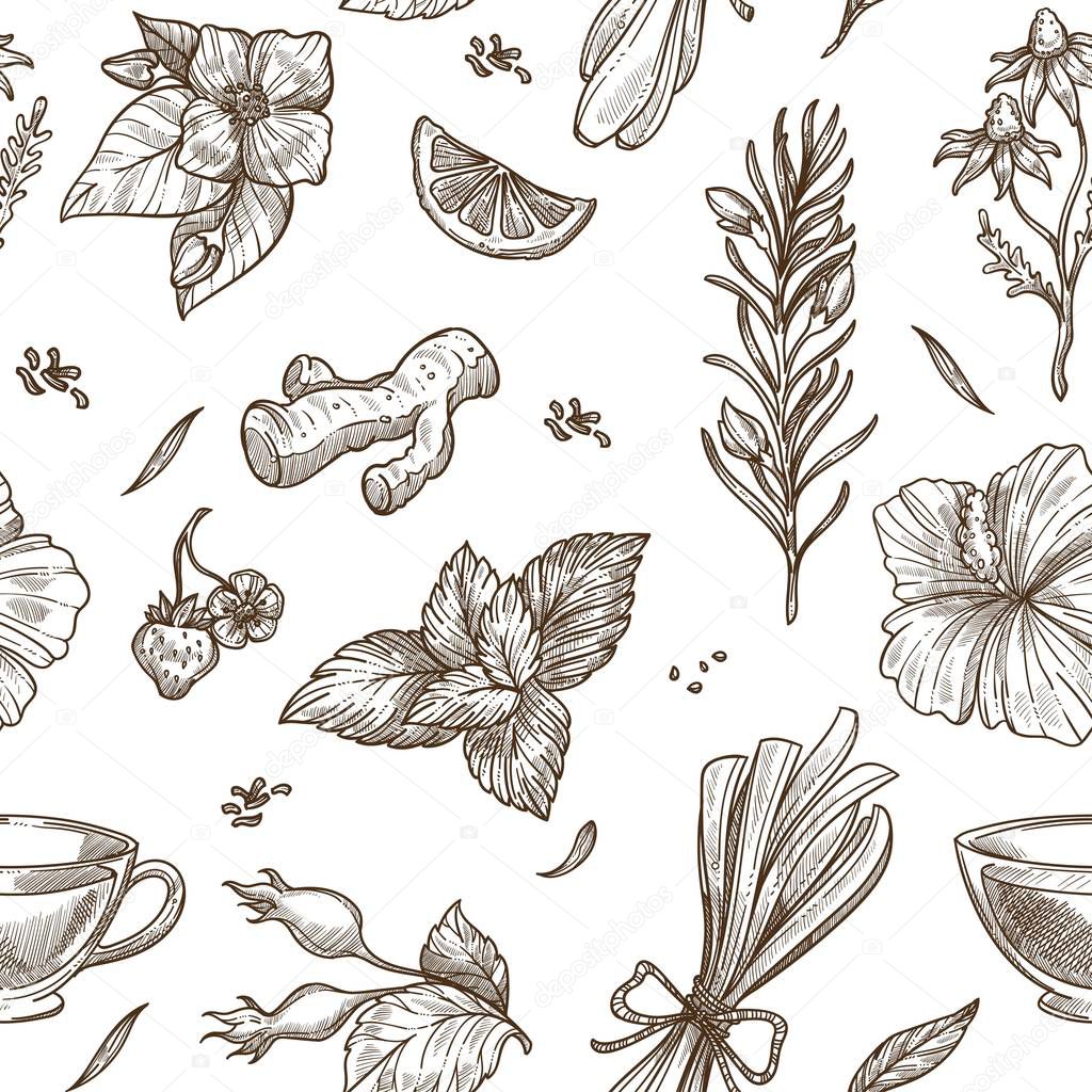 Herbs sketch seamless pattern on white background 