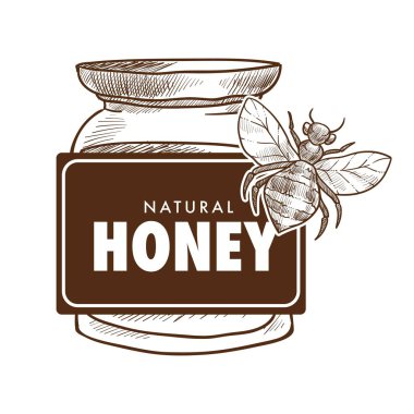 Saf bal poster, tek renkli kroki Anahat vektör