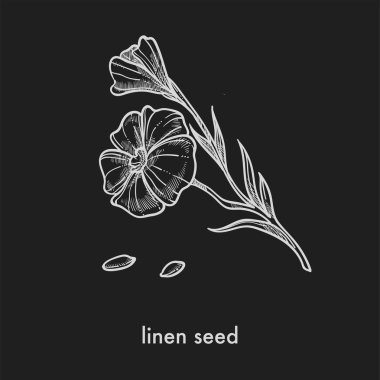 Keten tohumu ve ince kök, tek renkli kroki üzerinde çiçek