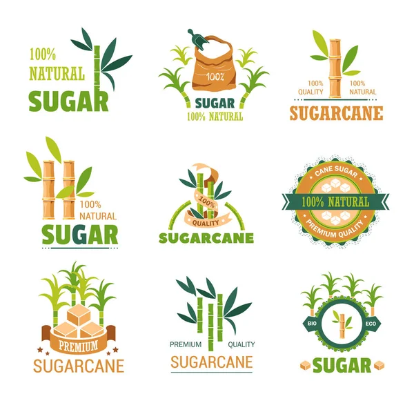 Sweet condiment sugarcane isolated vector icons — Stock Illustration Sweet Condiment Sugarcane Isolated Vector Icons Stock Vector
