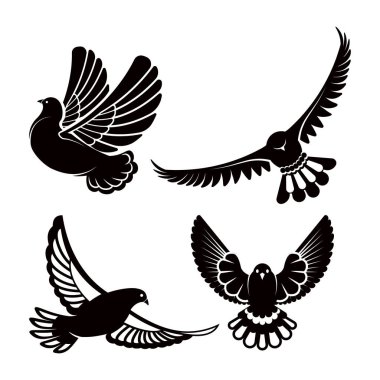 Güvercin veya güvercin vektör logo şablonu veya izole sembol simgeler kümesi