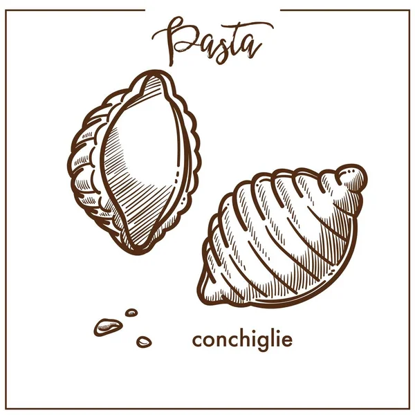 パスタ コンキリエ チョーク スケッチのイタリア料理メニュー ベクトルのアイコン — ストックベクタ