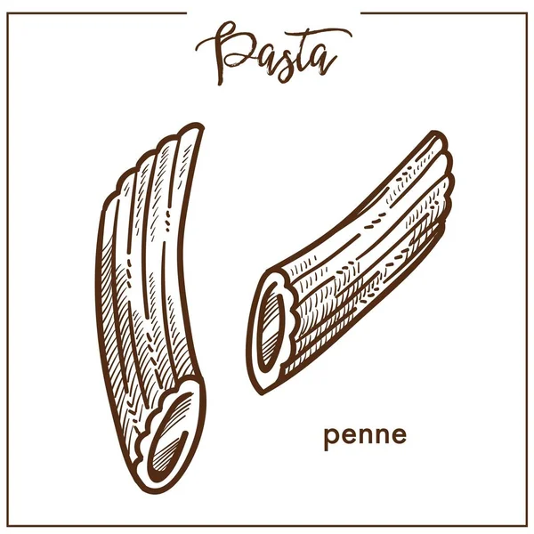 Pâtes Penne Icône Croquis Craie Pour Menu Cuisine Italienne Vecteur — Image vectorielle