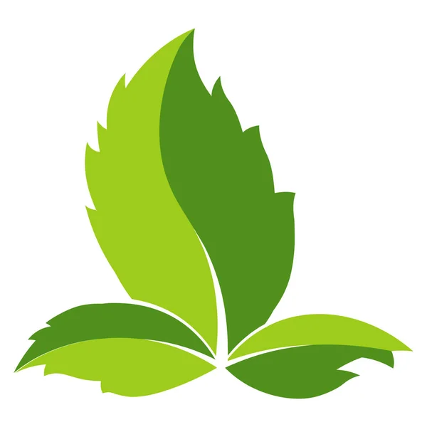 Modelo Logotipo Folha Verde Ícone Vetor — Vetor de Stock