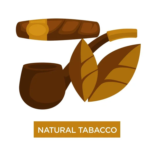 Charuto Tabaco Natural Cachimbo Madeira Para Fumar Vetor — Vetor de Stock