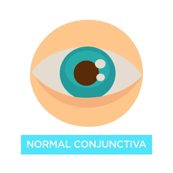 Oftalmología Conjuntiva Normal Ojo Sano Pupila Iris Vector Aislado Icono — Vector de stock