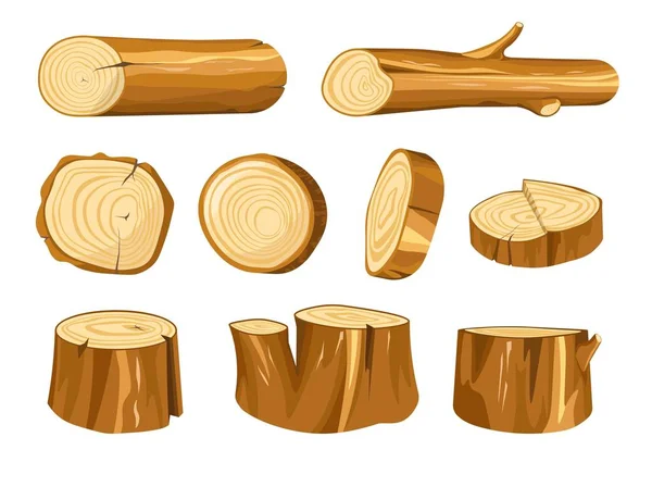 杜切り株とログ木と木の自然素材ベクター構築とオークやモミの木の部分梁または材木を加熱拒絶ラウンド課工事や家具孤立したオブジェクトを作る — ストックベクタ