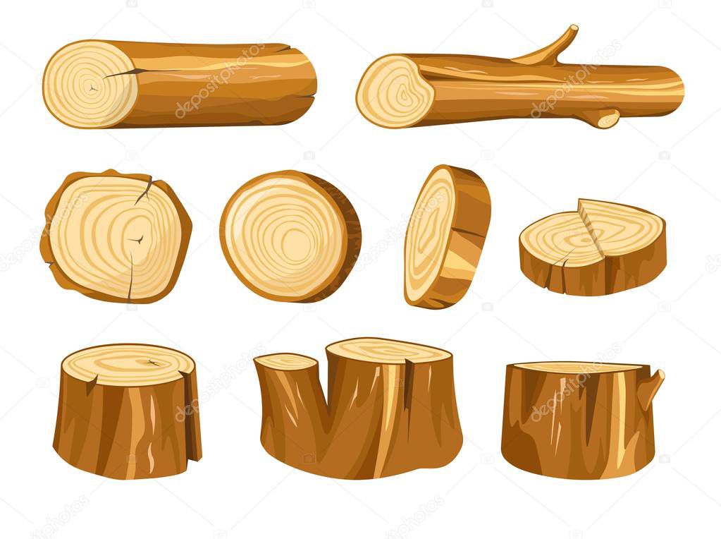 Forest stump and log wood and wooden natural materials vector building and heating oak or fir tree parts beam or timber baulk round section construction and furniture making isolated objects.