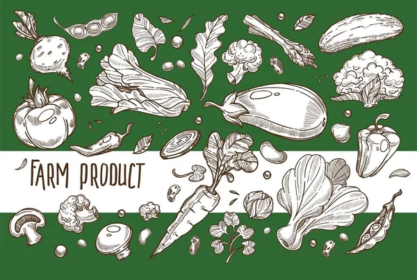 Organik Gıda Tarım ürün sebze vejetaryen beslenme domates ve kırmızı pancar marul ve bezelye biber ve patlıcan karnabahar ve kuşkonmaz brokoli salatalık ve mantar havuç ve fasulye hasat.