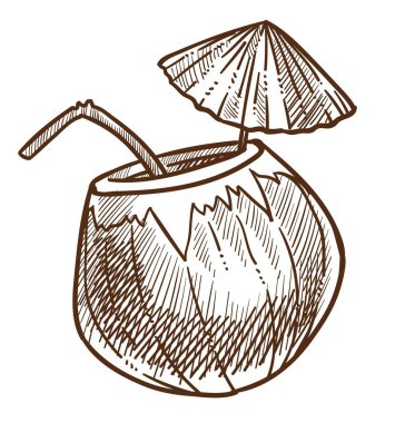 Kokteyl bardağı taşıran damla ve şemsiye ile tropikal Hindistan cevizi izole sketch vektör iç palm fındık kabuğu süt veya meyve içecek yaz ferahlık suyu plaj bar veya kafe ürün tatil ve tatil.