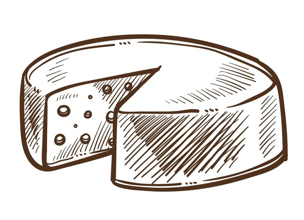 スイスチーズ ヘッド スケッチ食品や乳製品の製品分離スケッチ チェダーまたは Maasdam 三角カット ランチ モッツァレラチーズ オランダやイタリア ゴーダ — ストックベクタ