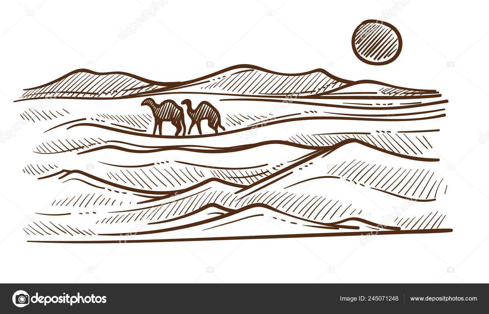 Desert Camels Barkhans Sand Hills Sketch Vector African Nature Landscape Vector Image By C Sonulkaster Vector Stock